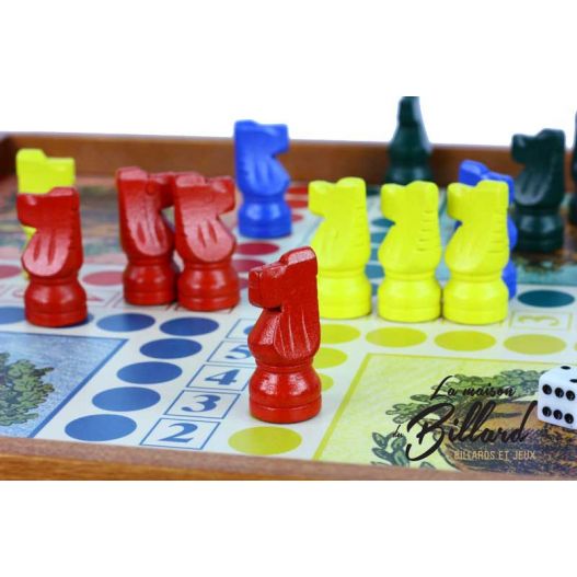 Jeu de dada et de l'oie prestige avec plumier-1