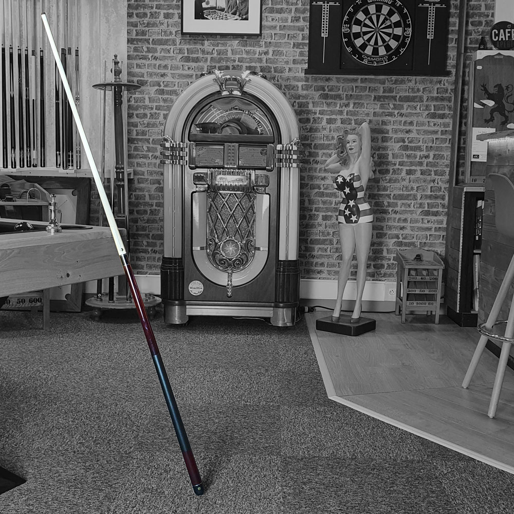 photos queue de billard américaine débutant